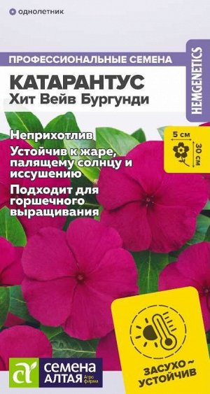 Цветы Катарантус Хит Вейв Бургунди/Сем Алт/цп 5 шт.