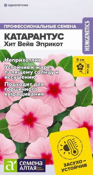 Цветы Катарантус Хит Вейв Эприкот/Сем Алт/цп 5 шт.