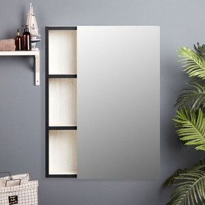 Зеркало-шкаф для ванной комнаты "Винтер 50", Винтерберг, 50 х 66,7 х 12,3 см