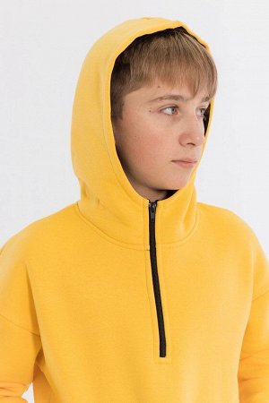 Толстовка М223036а