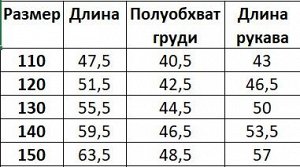 Ветровка на флисе для мальчика, с принтом, цвет голубой/темно-синий