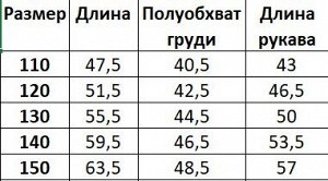 Ветровка на флисе для мальчика, с принтом, цвет серый/синий