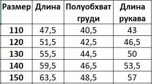 Ветровка на флисе для мальчика, с принтом, цвет красный/темно-синий