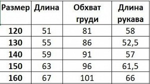 Ветровка на флисе для мальчика, цвет темно-синий