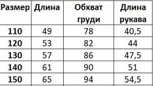 Ветровка на флисе для мальчика, принт "динозавры", цвет голубой