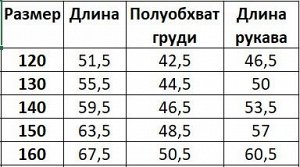 Ветровка на флисе для мальчика, с принтом, цвет синий