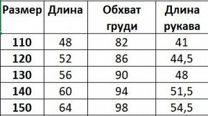 Ветровка на флисе для мальчика, с принтом, цвет синий