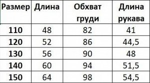 Ветровка на флисе для мальчика, с принтом, цвет зеленый/серый