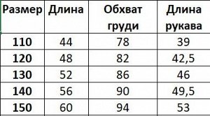 Ветровка тонкая для мальчика, с надписью, цвет темно-синий