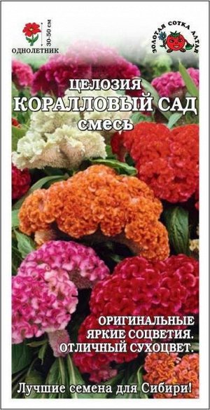 Цветы Целозия гребенчатая Коралловый сад ЦВ/П (СОТКА) 0,2гр однолетник сухоцвет 30-50см