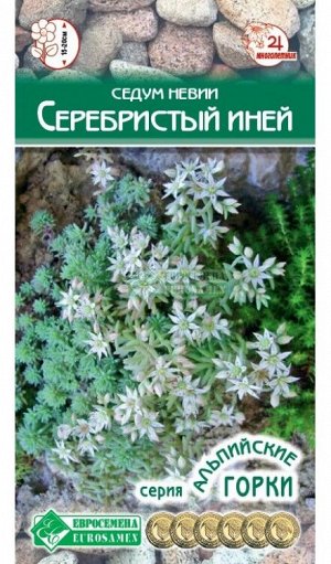 Цветы Седум (очиток) Серебристый Иней ЦВ/П (ЕС) 10шт многолетник 15-20см