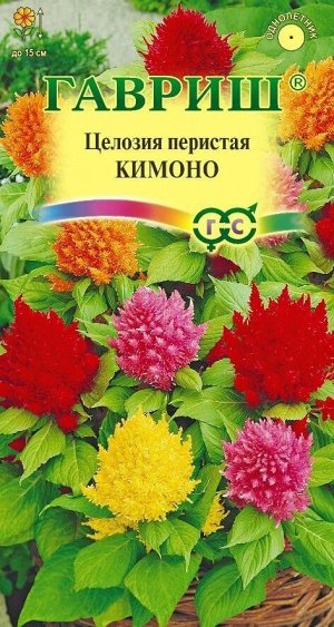 Цветы Целозия перистая Кимоно Смесь ЦВ/П (ГАВРИШ) 0,01гр однолетник сухоцвет 15см