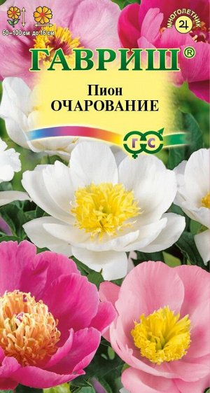 Цветы Пион Очарование ЦВ/П (ГАВРИШ) 3шт многолетник до 1,3м