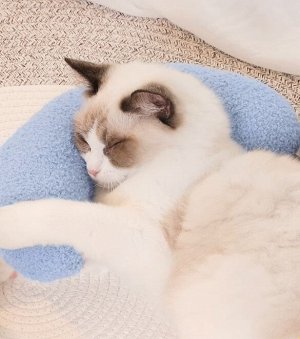 Игрушка подушка для кошек, собак, 1 шт