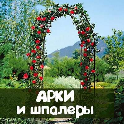 ДАЧНЫЙ СЕЗОН: арки и шпалеры, колышки