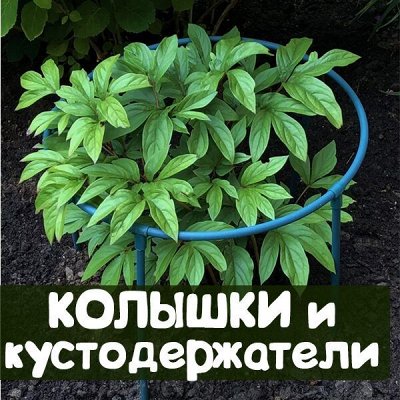 Колышки и кустодержатели металлические