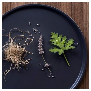 FRUKTSKOG, Ароматическая чайная свеча, ветивера и герани/черно-бирюзовый, 3,5 часа, 30 шт