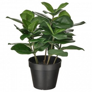 ФЕЙКА, искусственное растение в горшке, Клузия в помещении/ на открытом воздухе, 12 см