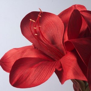 ВИНТЕРФИНТ, искусственный цветок, в/ открытый Амариллис / красный, 60 см,