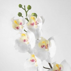 СМЫЧКА, искусственный цветок, Орхидея/белый, 60 см