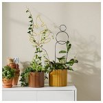 DAKSJUS, набор для поддержки растений из 2 штук, в помещении / на открытом воздухе / смешанных форм, смешанных цветов,