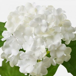СМЫЧКА, искусственный цветок, снежок/белый, 60 см