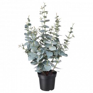 ФЕЙКА, искусственное растение в горшке, эвкалипт внутренний / уличный, 15 см