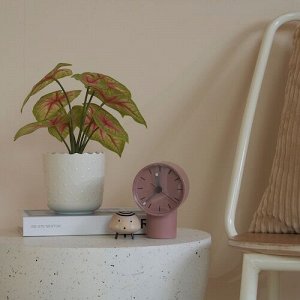 ФЕЙКА, искусственное растение в горшке, in / outdoor dasheen, 9 см