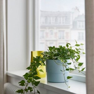 NYPON, горшок для растений, внутренний / уличный, бледно-голубой, 12 см
