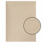 Канва для вышивания, №14, 30 x 40 см, цвет бежевый
