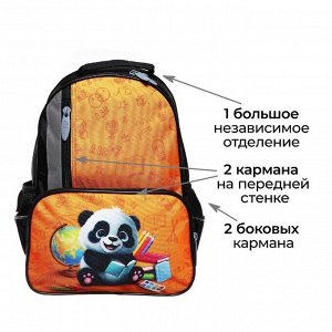 Рюкзак школьный, 37 х 26 х 13 см, эргономичная спинка, Calligrata ОРТ "Панда"