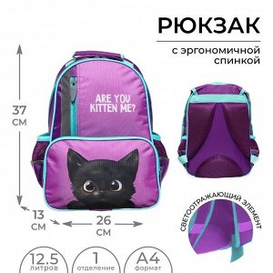 Рюкзак школьный, 37 х 26 х 13 см, эргономичная спинка, Calligrata ОРТ "Котик черный"