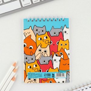 Блокнот А6, 40 л на гребне, мягкая обложка «Котята»