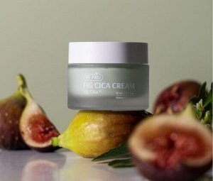 RAPPOL Увлажняющий и успокаивающий крем с инжиром и центеллой  RAPPOL Fig Cica Cream