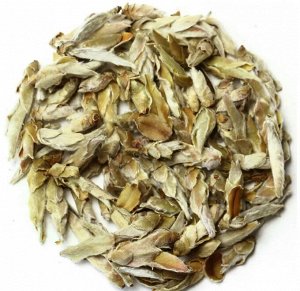 SIESTA®️ Белый листовой чай "Гу Шу Бай Я (Весение Почки Юннаня)", 100г