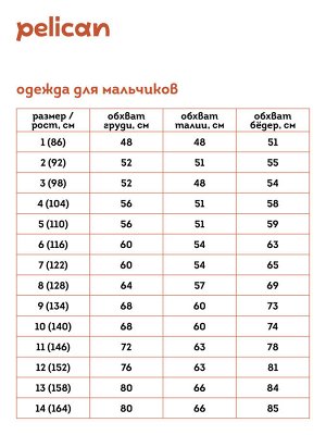 BFXK3352 куртка для мальчиков (1 шт в кор.)