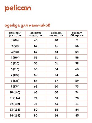 BFCQ3352 куртка для мальчиков (1 шт в кор.)