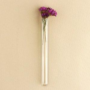 Флористическая пробирка-колба для цветов,15 х 1,5 см, фасовка по 10 шт.