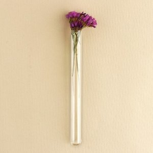 Ваза стеклянная для цветов, колба флористическая 15x1.5 см