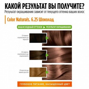 GARNIER Гарньер Краска для волос &quot;Color Naturals&quot; (Колор Нэчралс)  c 3 маслами, оттенок 6.25, Шоколад, 110 мл