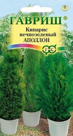 Кипарис Аполлон вечнозелёный ЦВ/П (ГАВРИШ) 0,1гр комнатное до 30см