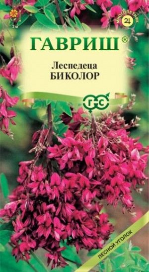 Леспедеца Биколор ЦВ/П (ГАВРИШ) 5шт многолетник до 2м