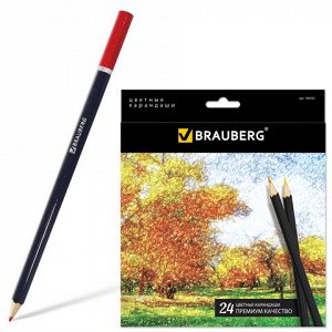 Карандаши цветные BRAUBERG &quot;Artist line&quot;, 24 цв., черный кор