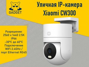 Уличная IP-камера видеонаблюдения Xiaomi Outdoor Camera 2.5K CW300 (WiFi 2.4GHz + RG45)