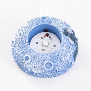 Фигурка светящаяся RISALUX «Морская звезда», LED-ночник, 1 Вт, USB, 6x6x8см