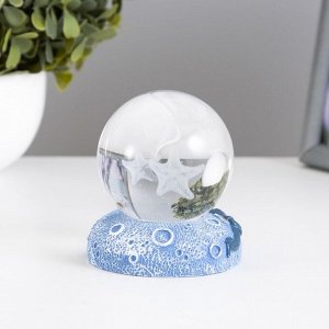 Фигурка светящаяся RISALUX «Морская звезда», LED-ночник, 1 Вт, USB, 6x6x8см