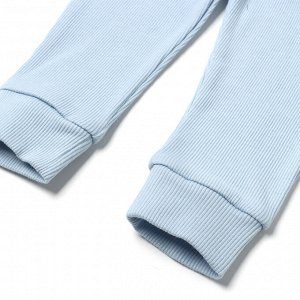 Комплект детский (футболка/штанишки), цвет голубой, рост 74-80 (9 -12 м)