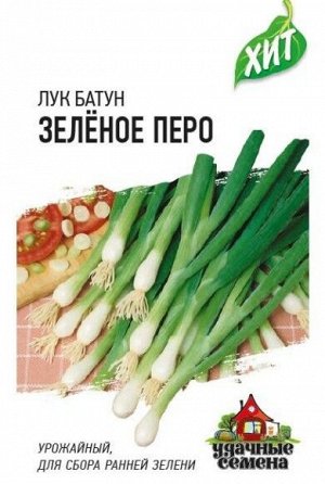 Лук на зелень Зелёное перо ЦВ/П (ГАВРИШ) 0,5гр раннеспелый