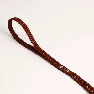 ВЫВОДИМ Поводок кожаный плетеный "Коса", 1.25 м х 1.1 см, микс цветов 1613463