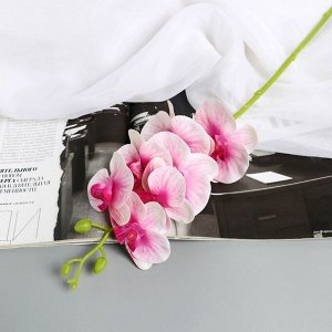 Цветы искусственные «Орхидея экстра галант», h=60 см, d=8 см, розовые